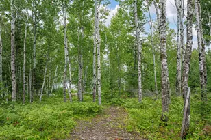 1359 SW Shores Trail, Ely, MN 55731 - Photo 42