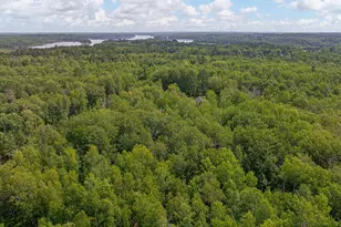 2762 Cedar Lake Rd, Ely, MN 55731 - Photo 86