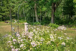 2762 Cedar Lake Rd, Ely, MN 55731 - Photo 90