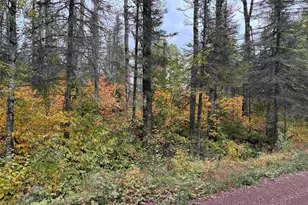 10 Gust Lake Dr, Lutsen, MN 55612 - Photo 22