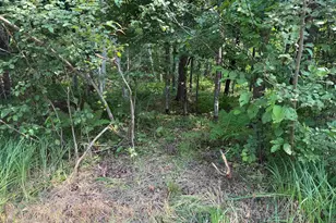 Tbd Woodstock Rd, Sturgeon Lake, MN 55783 - Photo 1