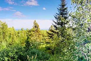 38 Kelly Ridge, Grand Marais, MN 55604 - Photo 18