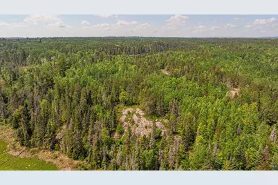 1736 N Grassy Rd, Ely, MN 55731 - Photo 94