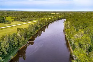 5995 Hwy 29, Floodwood, MN 55736 - Photo 46