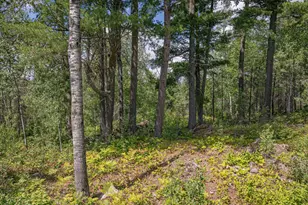 1583 Jewel Rdg Rd, Ely, MN 55731 - Photo 56