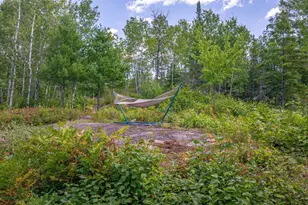 1583 Jewel Rdg Rd, Ely, MN 55731 - Photo 66