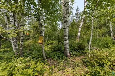 57 W Chisholm St, Duluth, MN 55803 - Photo 50