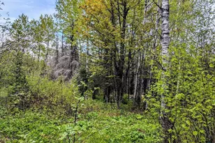 Xx37 W Lismore Rd, Duluth, MN 55803 - Photo 1
