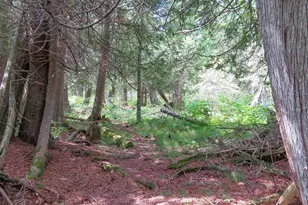 180 Caribou Trail, Lutsen, MN 55612 - Photo 48