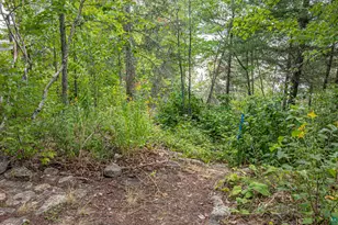 13412 Bear Paw Trail, Ely, MN 55731 - Photo 52