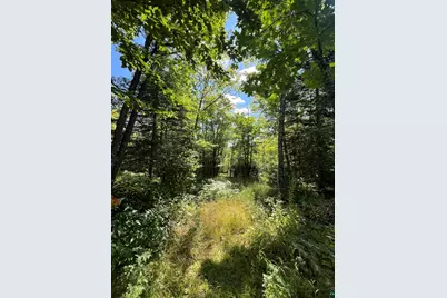 5076 Heffelfinger Rd, Finland, MN 55603 - Photo 28