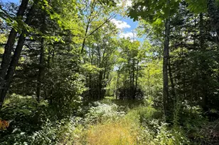 5076 Heffelfinger Rd, Finland, MN 55603 - Photo 28