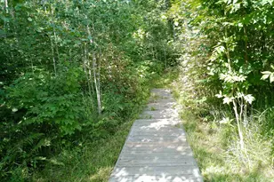 35 Wildwood Acres Trail, Tofte, MN 55615 - Photo 24