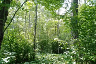 35 Wildwood Acres Trail, Tofte, MN 55615 - Photo 30