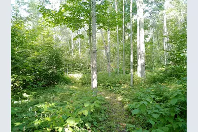 35 Wildwood Acres Tr, Tofte, MN 55615 - Photo 28