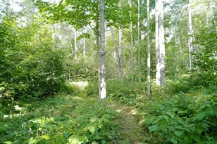 35 Wildwood Acres Trail, Tofte, MN 55615 - Photo 28