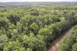 63Xxx Bradfield Rd, Iron River, WI 54847 - Photo 6