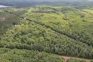 63Xxx Bradfield Rd, Iron River, WI 54847 - Photo 2