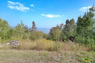 72 Nicole-Kristine Ln, Lutsen, MN 55612 - Photo 26