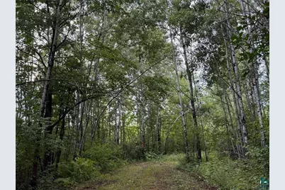 Tbd County Rd 12, Kettle River, MN 55757 - Photo 22