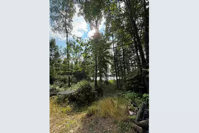 4Xxx Linwood Shores Rd, Makinen, MN 55763 - Photo 6