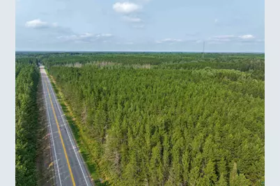 Tract A Highway 21, Babbitt, MN 55706 - Photo 2
