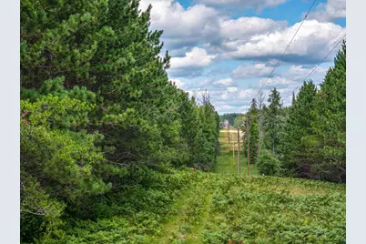 Tract C Highway 21, Babbitt, MN 55706 - Photo 6