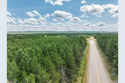 Tract D Highway 21, Babbitt, MN 55706 - Photo 2