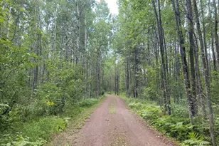 181 Linnell Rd, Grand Marais, MN 55604 - Photo 76