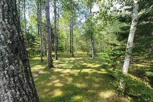 181 Linnell Rd, Grand Marais, MN 55604 - Photo 24
