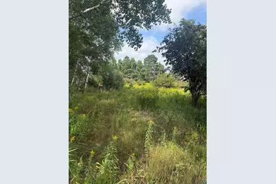5 Evelyn St, Esko, MN 55733 - Photo 2