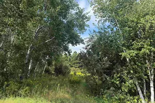 5 Evelyn St, Esko, MN 55733 - Photo 1