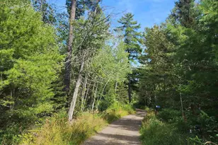 3860 Arrowhead Trail, Hovland, MN 55606 - Photo 42
