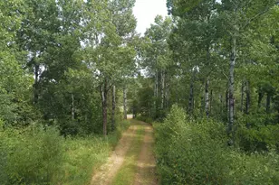 6555 Roses Rd, Finland, MN 55603 - Photo 24