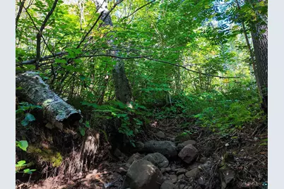 Xxx Caspers Hill Rd, Grand Marais, MN 55604 - Photo 6