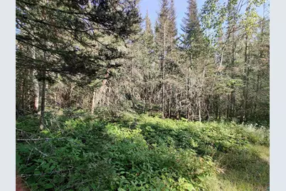 Xxx Gauthier Rd, Hovland, MN 55606 - Photo 8