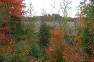 651 Fernberg Rd, Ely, MN 55731 - Photo 26