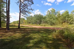 65563 Charles Johnson Rd, Ashland, WI 54806 - Photo 2