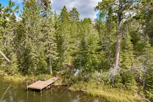 10401 Gunsten Lake Rd, Isabella, MN 55607 - Photo 38