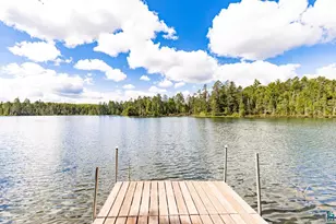 10401 Gunsten Lake Rd, Isabella, MN 55607 - Photo 6