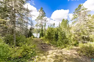 10401 Gunsten Lake Rd, Isabella, MN 55607 - Photo 58