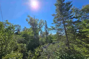 4 Steam Engine Rd, Lutsen, MN 55612 - Photo 18