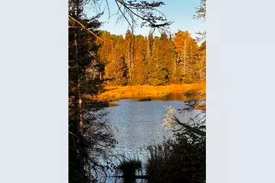 3382 God's Wilderness Rd, Finland, MN 55603 - Photo 24