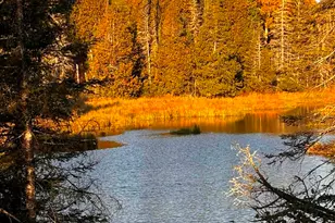 3382 Gods Wilderness Rd, Finland, MN 55603 - Photo 24