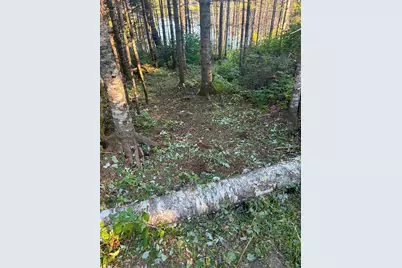 3382 God's Wilderness Rd, Finland, MN 55603 - Photo 28