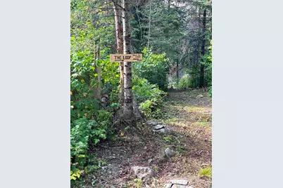 3382 God's Wilderness Rd, Finland, MN 55603 - Photo 60