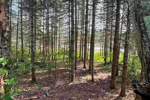 3382 Gods Wilderness Rd, Finland, MN 55603 - Photo 48