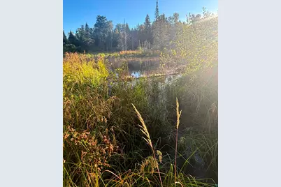 3382 God's Wilderness Rd, Finland, MN 55603 - Photo 26