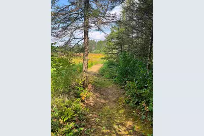 3382 God's Wilderness Rd, Finland, MN 55603 - Photo 32