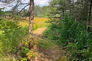 3382 Gods Wilderness Rd, Finland, MN 55603 - Photo 32